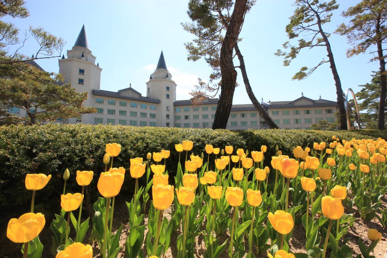 High1 Palace Hotel And Cc Чонсон Экстерьер фото